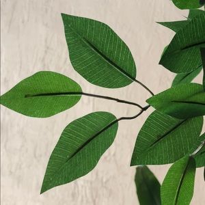 Meet your Posher, Ekrem